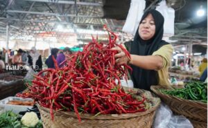 Harga Cabai Merah Tembus Belasan Hingga Ratusan Ribu Rupiah Akibat Dampak Bencana Alam November Lalu